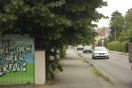 Foto: Laub der Bäume hängt zu tief auf den Radweg in gesamter Breite 